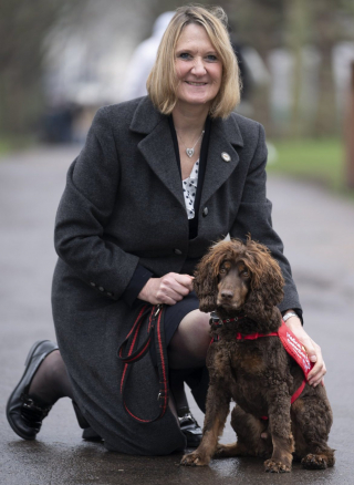 Illustration de l'article : Le parcours émouvant d'Asher, un chien médical nominé pour un Hero Dog Award