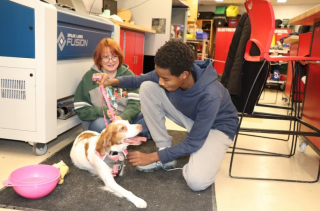 Illustration de l'article : Des lycéens tentent de venir en aide à Sadie, une chienne à 3 pattes, afin d’adoucir sa vie quotidienne