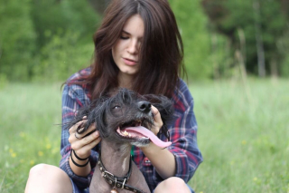 Illustration de l'article : 20 photos pour faire connaissance avec Jyrki, Chien Chinois à crête qui fait fondre les cœurs sur Instagram