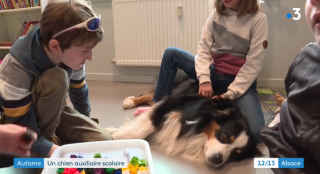 Illustration de l'article : Faites connaissance avec Pirate, ce chien d’assistance qui métamorphose les enfants atteints de troubles autistiques