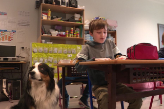 Illustration de l'article : Faites connaissance avec Pirate, ce chien d’assistance qui métamorphose les enfants atteints de troubles autistiques