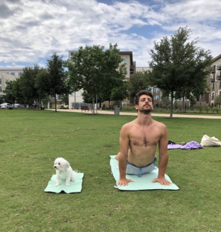 Illustration de l'article : 11 photos drôles et inspirantes de chiens devenus experts du yoga