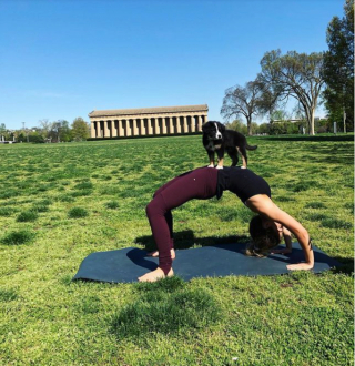 Illustration de l'article : 11 photos drôles et inspirantes de chiens devenus experts du yoga