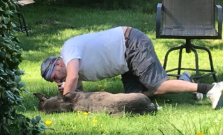 Illustration de l'article : 9 chiens qui ont conquis les cœurs de papas qui refusaient catégoriquement d'en avoir