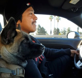 Illustration de l'article : 9 chiens qui ont conquis les cœurs de papas qui refusaient catégoriquement d'en avoir