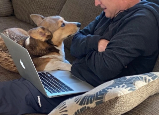 Illustration de l'article : 9 chiens qui ont conquis les cœurs de papas qui refusaient catégoriquement d'en avoir