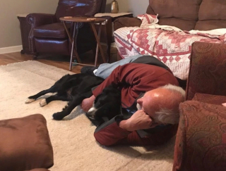 Illustration de l'article : 9 chiens qui ont conquis les cœurs de papas qui refusaient catégoriquement d'en avoir