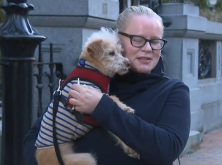 Illustration de l'article : L'histoire inspirante du retour triomphant de Rose, un Terrier kidnappée lors d'une promenade quotidienne