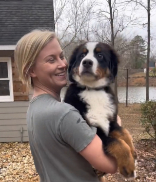 Illustration de l'article : Une femme adopte un Bouvier Bernois en secret et partage la réaction de son mari sur les réseaux sociaux