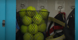 Illustration de l'article : L'amour des animaux transforme un quartier résidentiel en véritable paradis canin avec la création d'une librairie insolite