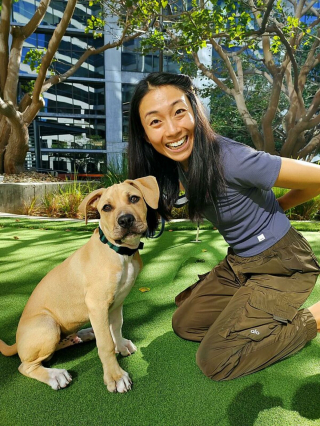 Illustration de l'article : 20 photos de chiens célébrant leur adoption et leur bonheur retrouvé