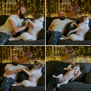 Illustration de l'article : 20 photos de chiens célébrant leur adoption et leur bonheur retrouvé