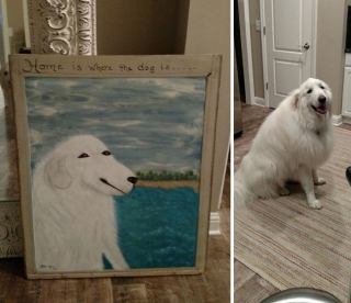 Illustration de l'article : 45 photos de chiens qui vous mettront de bonne humeur pour la journée