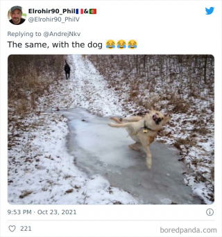 Illustration de l'article : 45 photos de chiens qui vous mettront de bonne humeur pour la journée