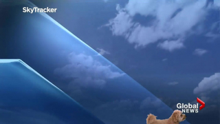 Illustration de l'article : 13 photos drôles et touchantes d'un Goldendoodle ayant volé la vedette à son maître lors d'un bulletin météo