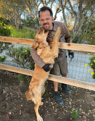 Illustration de l'article : 20 photos touchantes où chiens et livreurs sont ravis de faire connaissance ou de se revoir