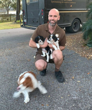 Illustration de l'article : 20 photos touchantes où chiens et livreurs sont ravis de faire connaissance ou de se revoir