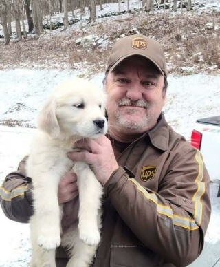 Illustration de l'article : 20 photos touchantes où chiens et livreurs sont ravis de faire connaissance ou de se revoir