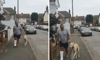 Illustration de l'article : 14 photos montrant nos amis canins se comportant comme des humains