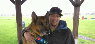 Illustration de l'article : Le périple inattendu de Diesel, un Berger Allemand kidnappé lors d'un vol de camionnette