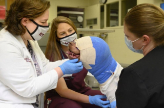 Illustration de l'article : Un chien, brûlé au visage par un enfant, poursuit sa convalescence, en attendant de trouver enfin sa famille pour la vie