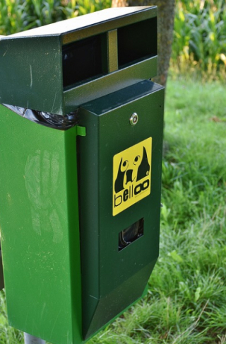 Illustration de l'article : Une ville s'attaque au problème des excréments de chiens dans ses espaces publics avec un dispositif ingénieux