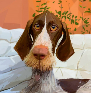 Illustration de l'article : 20 caricatures illustrant de manière originale les expressions que nos chiens peuvent avoir