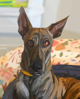 Illustration de l'article : 20 caricatures illustrant de manière originale les expressions que nos chiens peuvent avoir