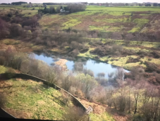 Illustration de l'article : Une association, qui sauve les chiens « dont personne ne veut », a fait l’acquisition d’un immense site, afin de leur créer un sanctuaire