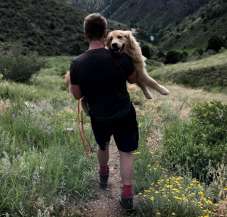 Illustration de l'article : 10 photos montrant que rien n'égale l'attachement que nos chiens ont pour nous