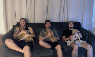 Illustration de l'article : 10 photos montrant que rien n'égale l'attachement que nos chiens ont pour nous