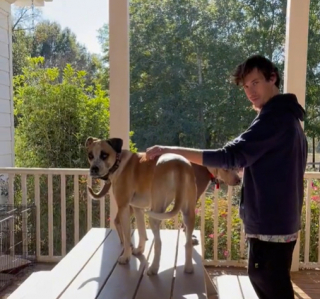 Illustration de l'article : Le Airbnb de Quiet Country Farmhouse en Géorgie propose une escapade rurale accompagnée de l’adoption de chiens !