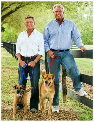 Illustration de l'article : Depuis près de 20 ans, ce couple au grand coeur a sauvé des milliers de chiens dans le besoin