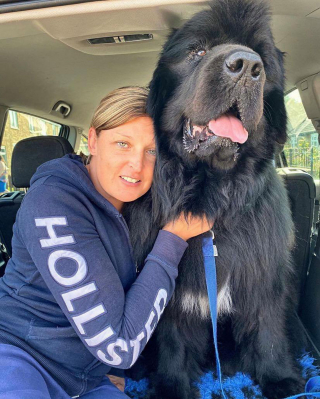 Illustration de l'article : Les balades se transforment en négociations interminables pour ce policier et son chien rebelle