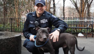 Illustration de l'article : Un officier de police sauve un chien abandonné et en fait son partenaire