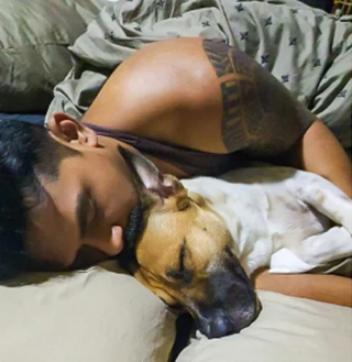 Illustration de l'article : Ce chien abandonné se choisit une nouvelle famille et fait tout pour en être adopté