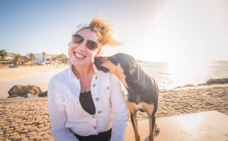 Illustration de l'article : 20 photos de chiens errants réalisées par un passionné et prouvant qu'ils continuent à sourire à la vie malgré sa difficulté