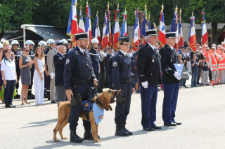 Illustration de l'article : Les capacités exceptionnelles de cette chienne Saint-Hubert qui a sauvé plus de 20 vies avant de prendre une retraite bien méritée