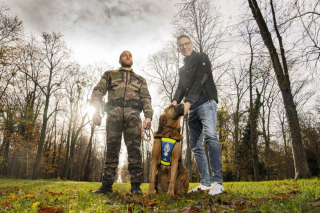 Illustration de l'article : Les capacités exceptionnelles de cette chienne Saint-Hubert qui a sauvé plus de 20 vies avant de prendre une retraite bien méritée