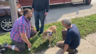 Illustration de l'article : Un ancien ambulancier risque sa vie pour sauver un chien dans une maison en feu