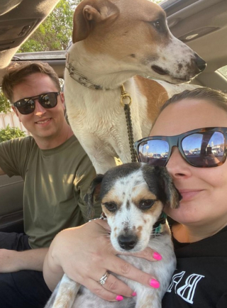 Illustration de l'article : Un couple de militaires doit surmonter des obstacles pour adopter 2 chiennes sauvées au Moyen-Orient