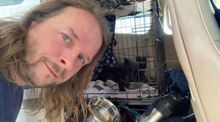 Illustration de l'article : Un chien perdu retrouve sa famille, après 10 années de disparition, et parcourt plus de 2 500 km pour la rejoindre