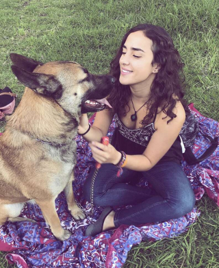 Illustration de l'article : Les retrouvailles émouvantes entre une femme et son chien Harley après 6 mois de séparation