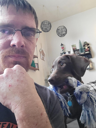 Illustration de l'article : 20 photos de Labrador Retrievers montrant que ces chiens ne sont que gaieté et douceur