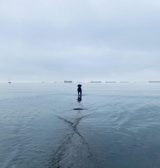 Illustration de l'article : 20 photos de Labrador Retrievers montrant que ces chiens ne sont que gaieté et douceur