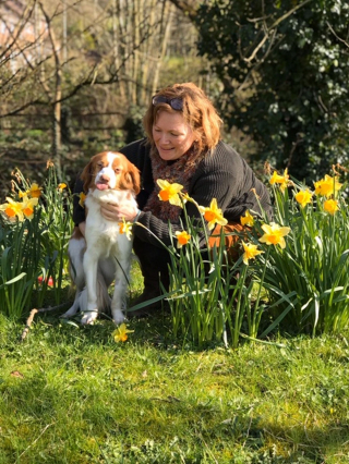 Illustration de l'article : En raison de ses malformations, un chien passe 8 mois dans un refuge, sans que personne ne souhaite l’adopter