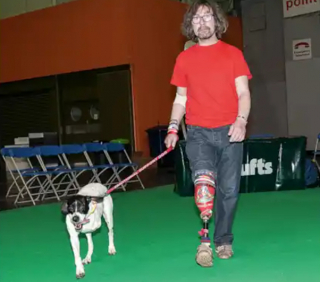 Illustration de l'article : Un ancien militaire, amputé d’une jambe, fait une rencontre pleine d'émotion avec une chienne à 3 pattes dont personne ne voulait