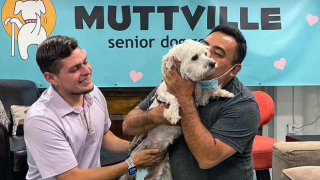 Illustration de l'article : Effrayé, ce chien de 8 ans s’échappe sur la voie ferrée et fait courir derrière lui l’équipe de sauvetage pendant 5 heures !