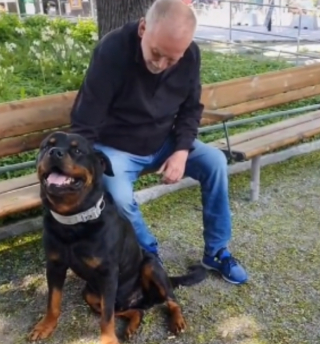 Illustration de l'article : Grâce à son sixième sens, ce Rottweiler comprend que l’étranger qu’il croise est malheureux et n’hésite pas à lui remonter le moral