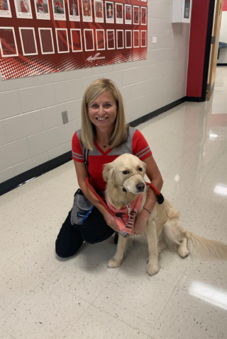 Illustration de l'article : La photo de classe insolite : comment un Golden Retriever est devenu la mascotte d'une école publique